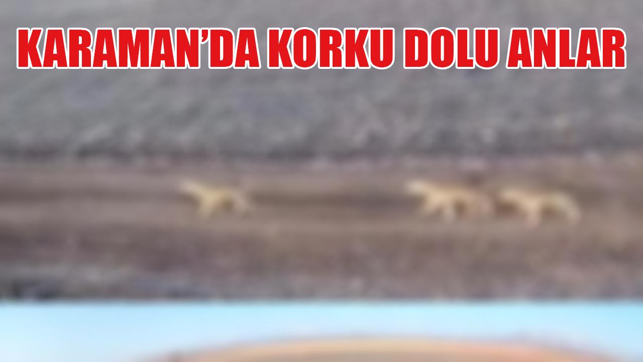 Karaman'da korku dolu anlar