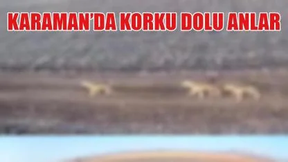 Karaman'da korku dolu anlar