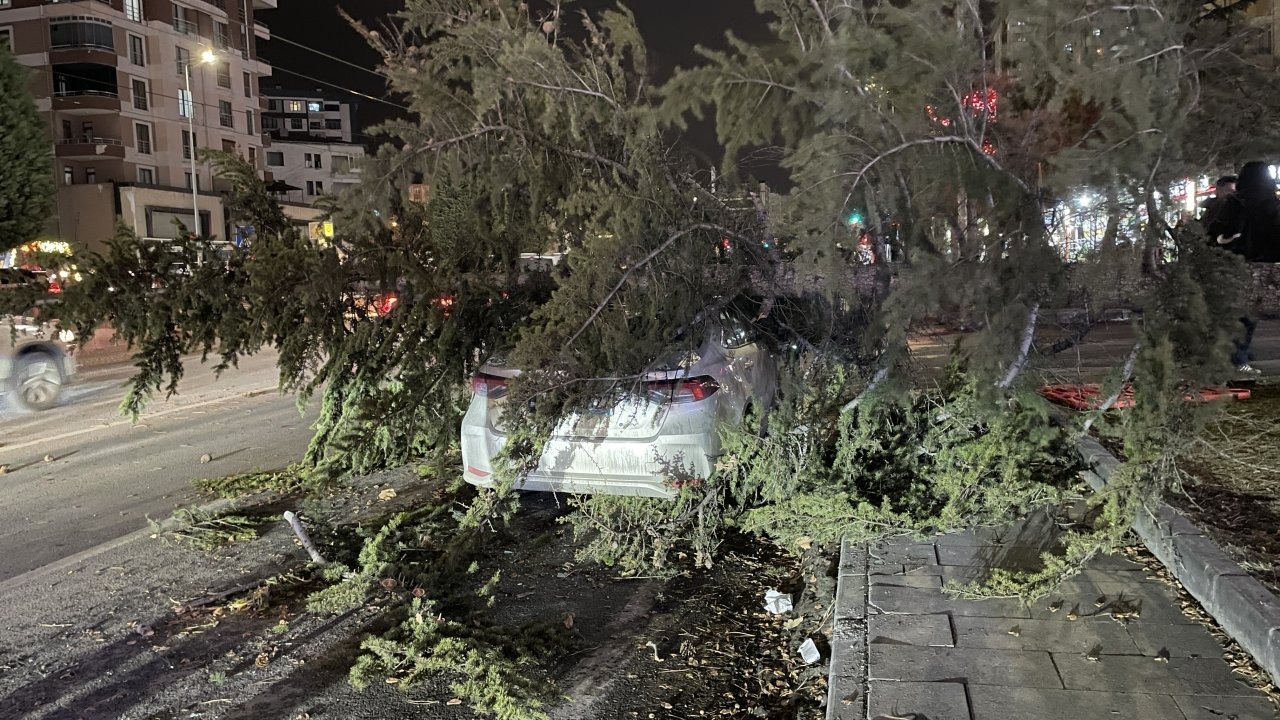 Kayseri'de kuvvetli rüzgarın etkisiyle devrilen ağaç otomobilin üzerine düştü