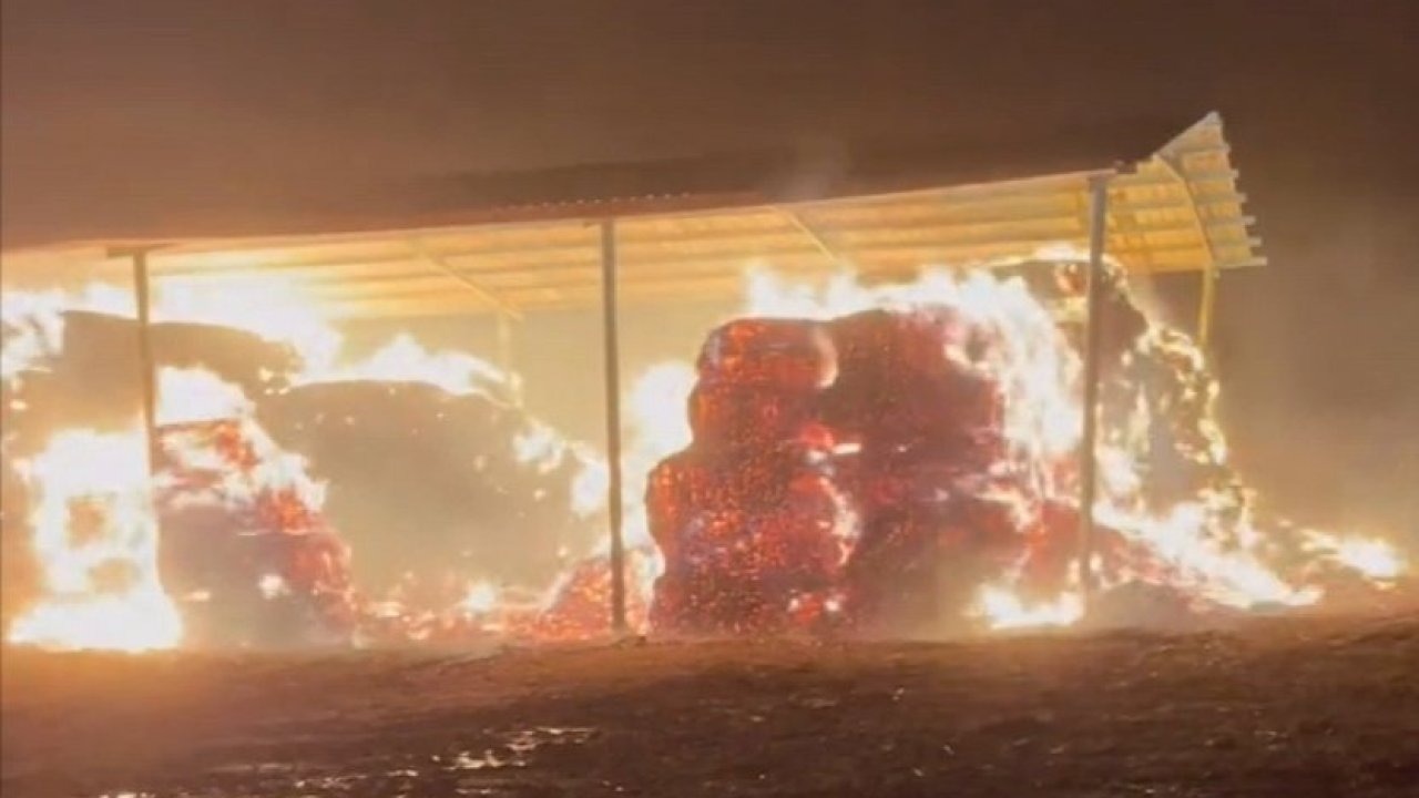 Konya'da çiftlikte çıkan yangında saman balyaları yandı