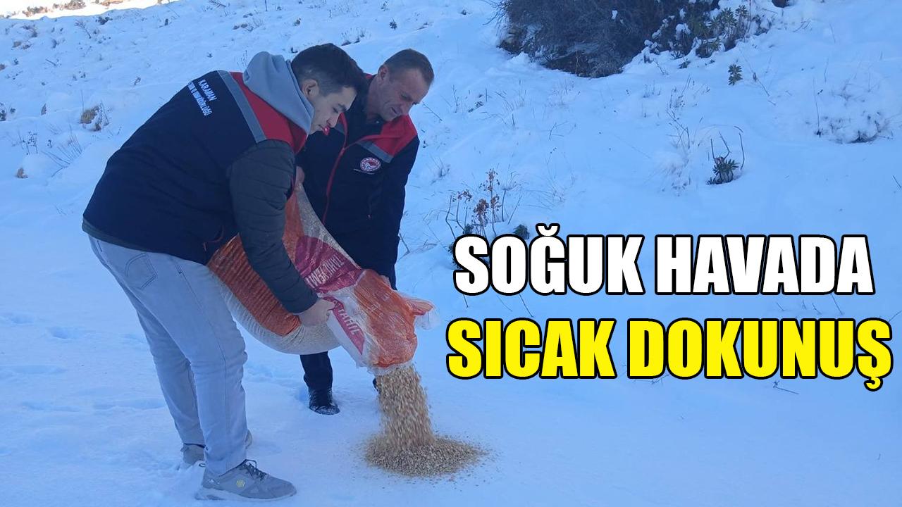 Soğuk havada sıcak dokunuş