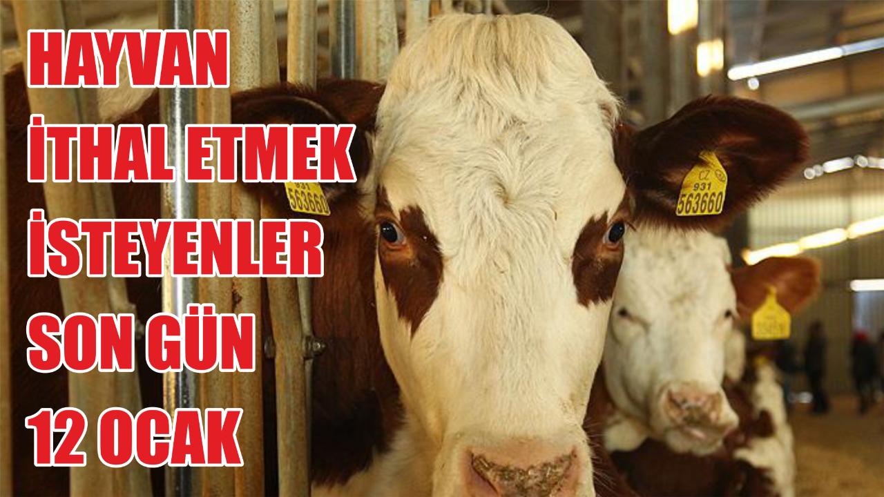 Son gün 12 Ocak