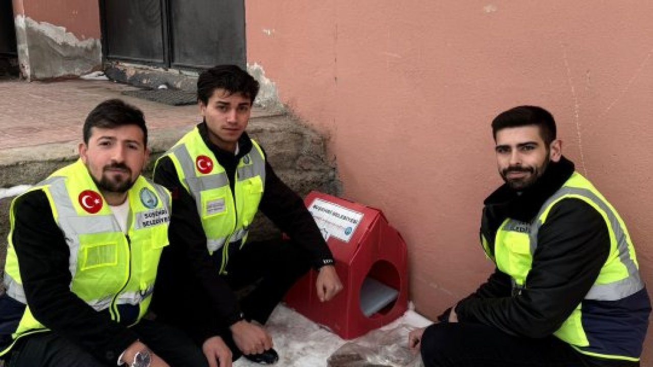 Suşehri Belediyesi yabani hayvanlar için doğaya yem bıraktı