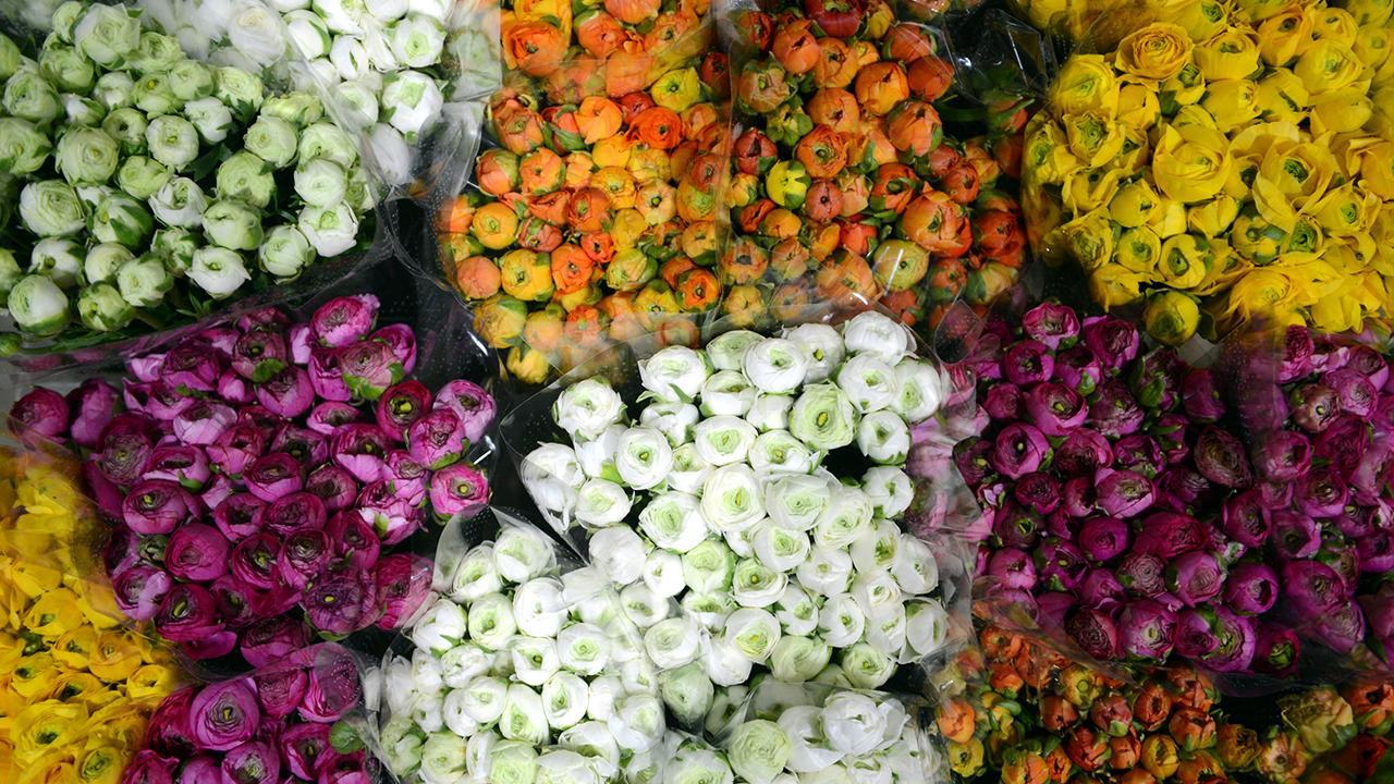 Türkiye'den 83 ülkeye çiçek