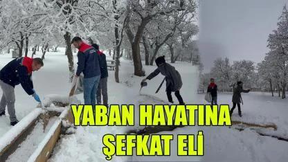 Yaban hayatına şefkat eli