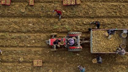 Yağışlar yüzde 19 azaldı