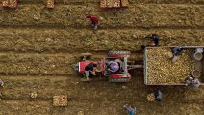 Yağışlar yüzde 19 azaldı