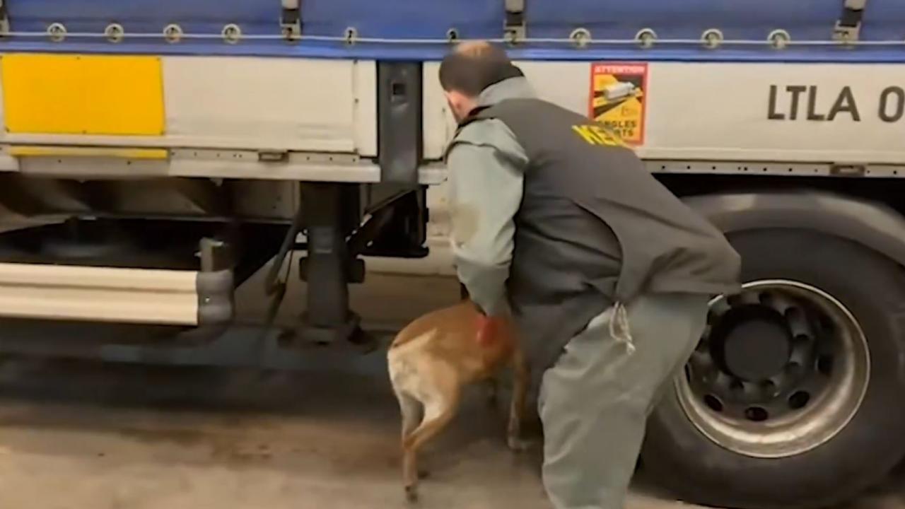 240 kilo uyuşturucu ele geçirildi