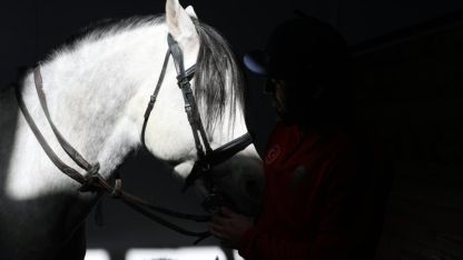 Geçmişi yüzyıllar öncesine dayanan atlı spor geleneği "çevgan" Sivas'ta yaşatılıyor