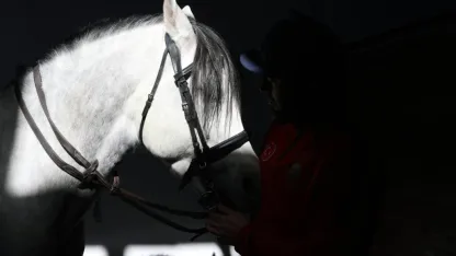 Geçmişi yüzyıllar öncesine dayanan atlı spor geleneği "çevgan" Sivas'ta yaşatılıyor