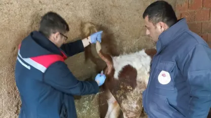 Beyşehir'den kısa kısa