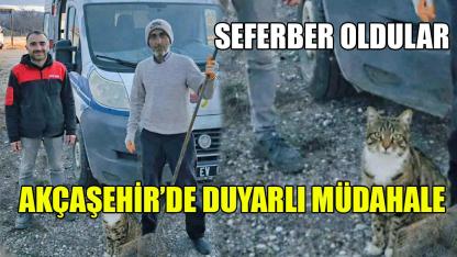 Akçaşehir’de duyarlı müdahale