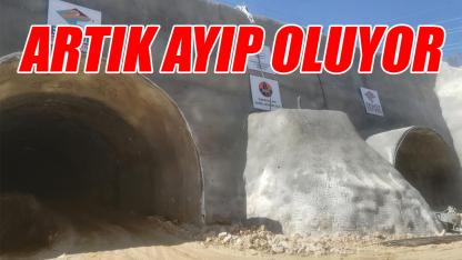 Karaman'da artık ayıp oluyor