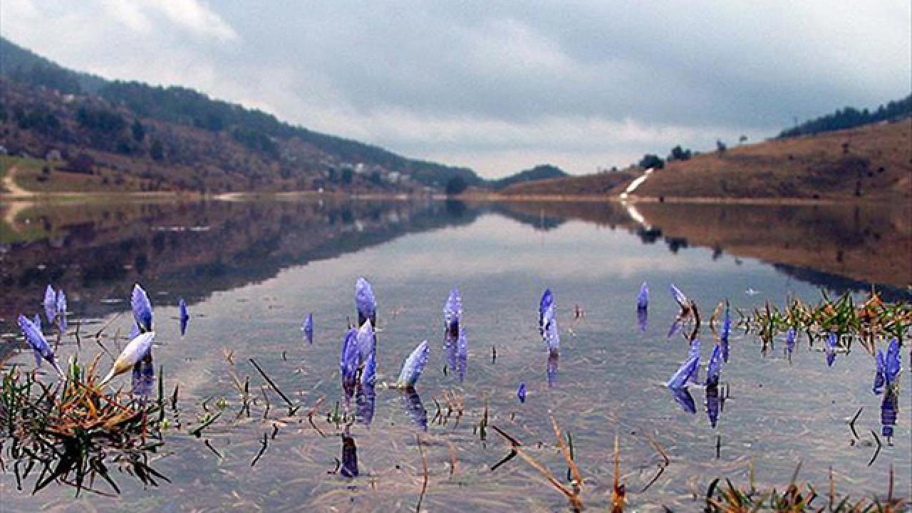 Baharın ikinci müjdecisi yolda
