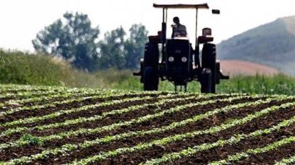 Çiftçilere destek ödemesi