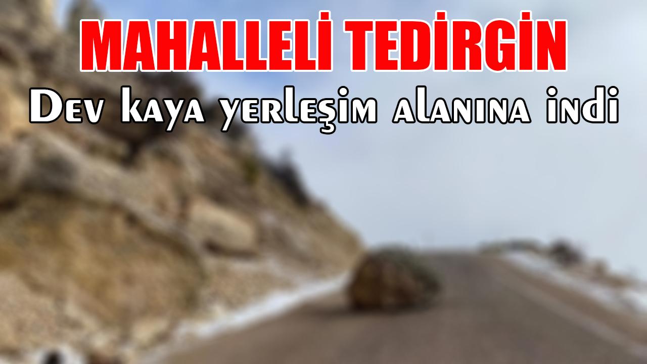 Dev kaya yerleşim alanına indi