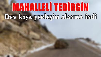 Dev kaya yerleşim alanına indi