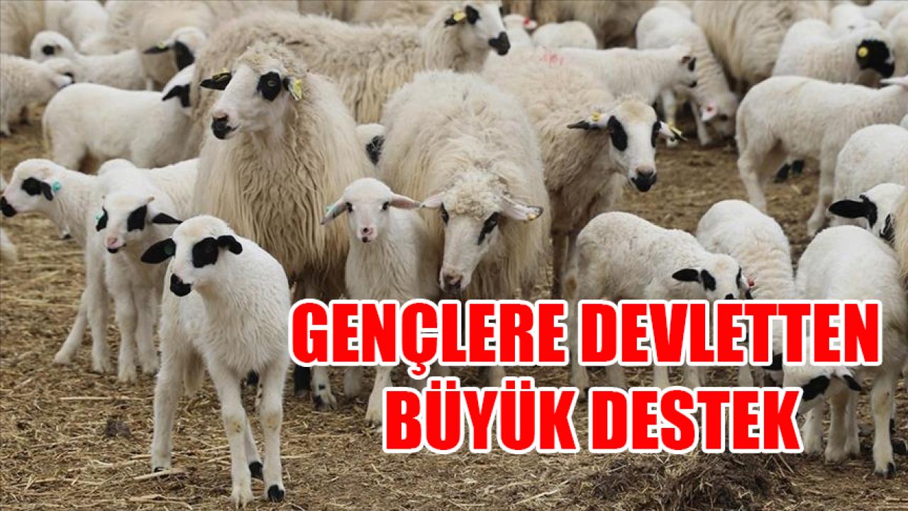 Erdoğan'dan çiftçiye müjde