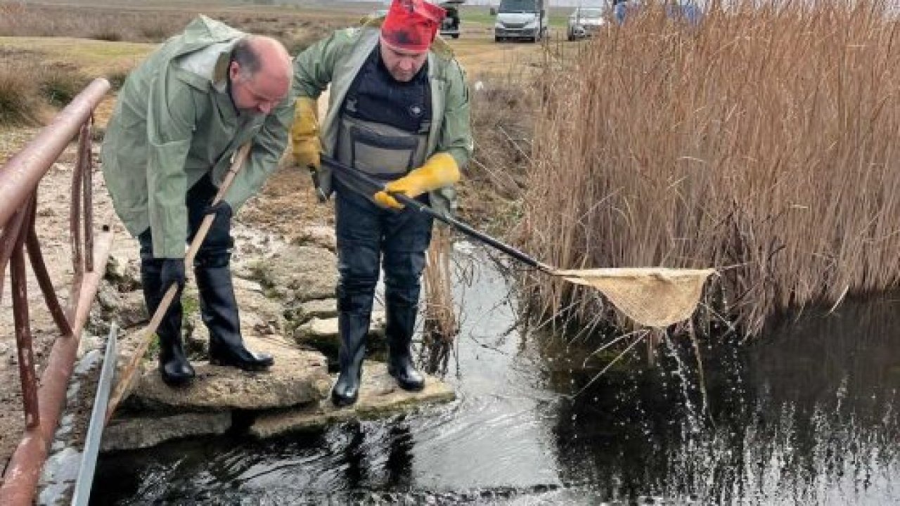 Eskişehir'de "Dünya Sulak Alanlar Günü" kapsamında farkındalık gezisi düzenlendi