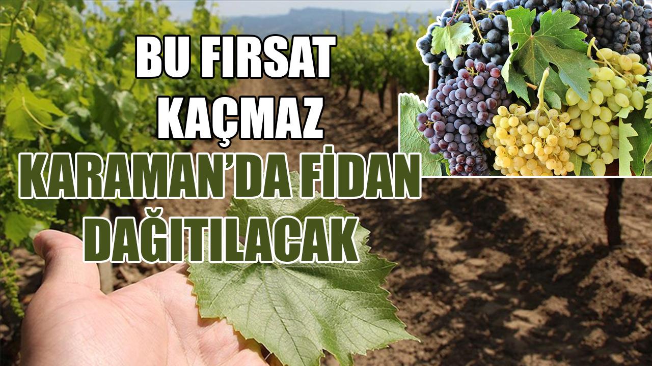 Karaman'da fidanı dağıtılacak