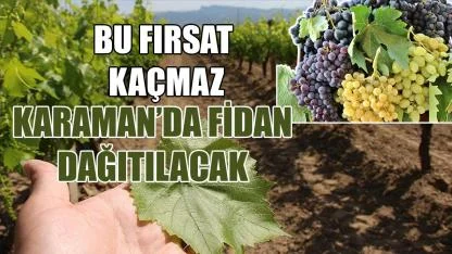 Karaman'da fidanı dağıtılacak