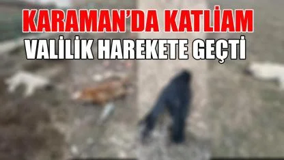Karaman'da katliam- Valilik harekete geçti