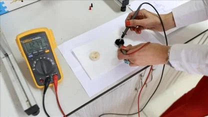 Kenevir ile üretilecek