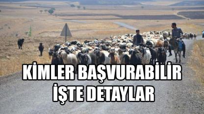 Kimler başvurabilir işte detaylar