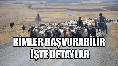 Kimler başvurabilir işte detaylar