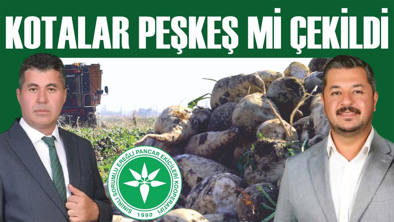 Kotalar peşkeş mi çekildi