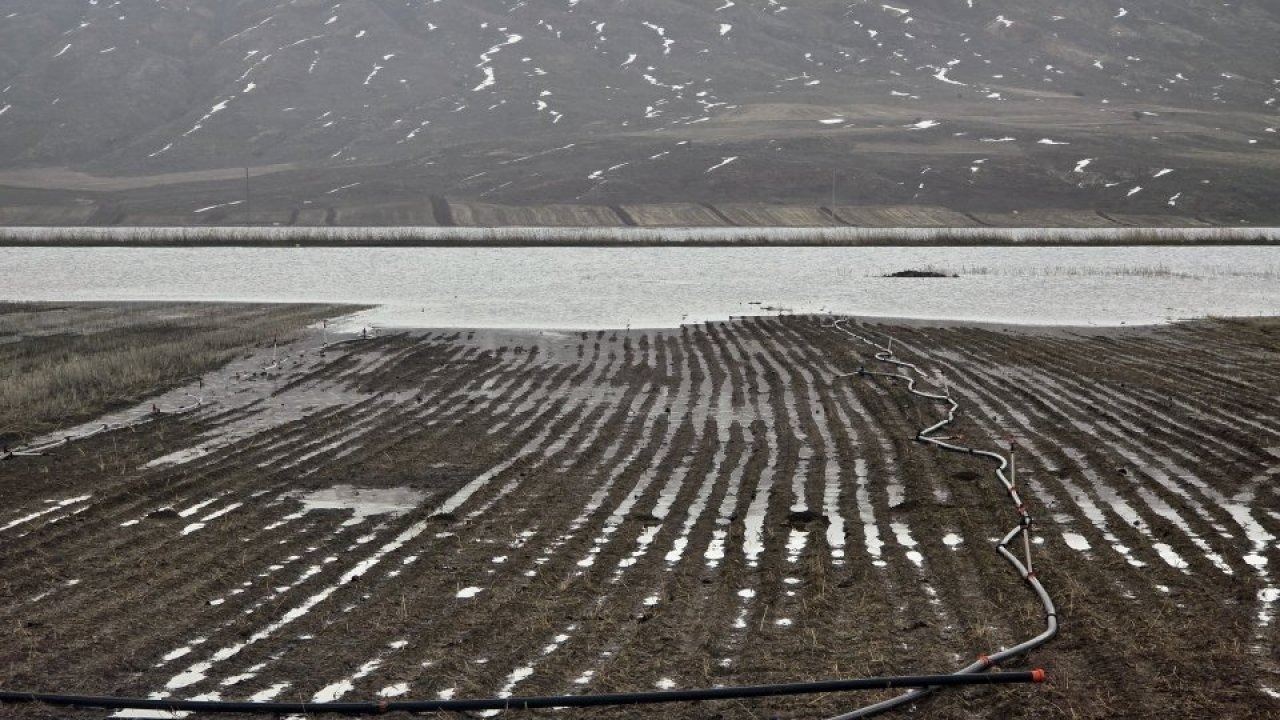 Sivas'ta yüzlerce dönüm tarım arazisi su altında kaldı