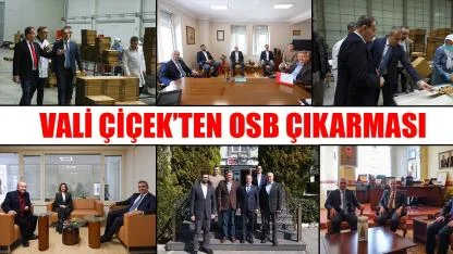 Vali Çiçek’ten OSB çıkarması