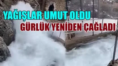 Yağışlar umut oldu: Gürlük yeniden çağladı