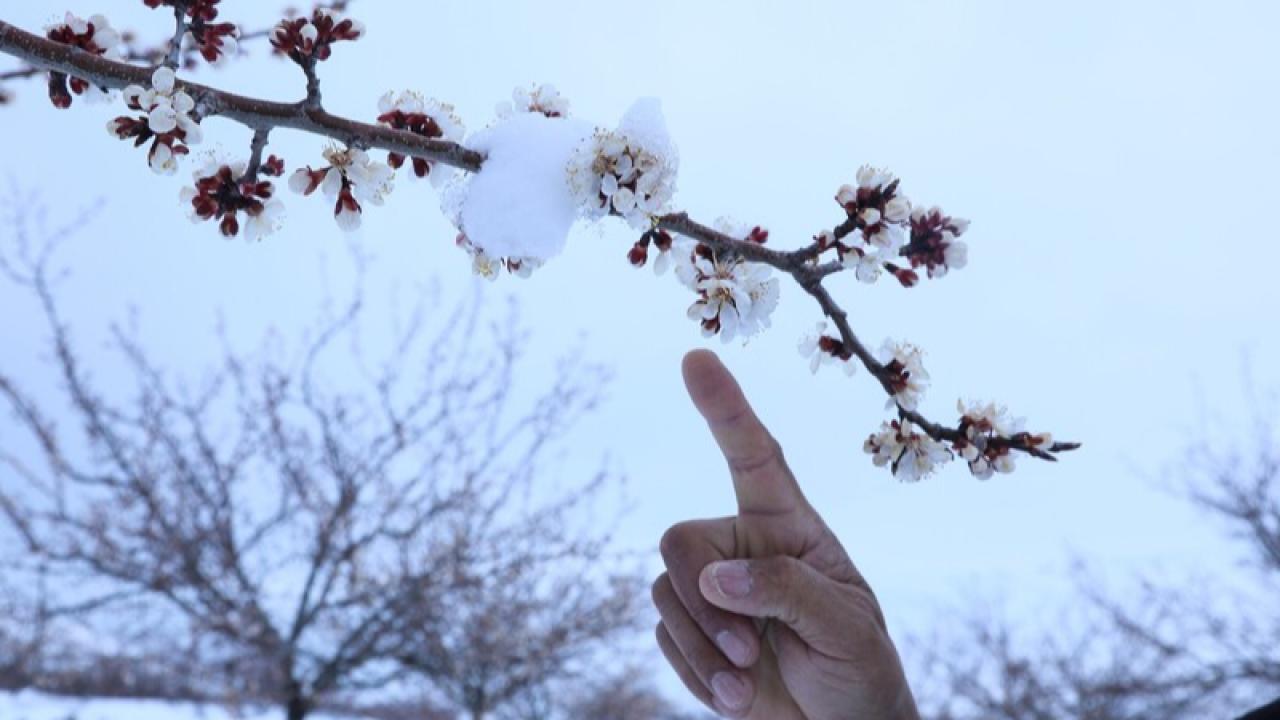 Zirai don riskine karşı üretim yapılmalı