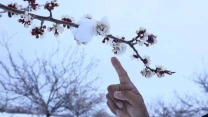 Zirai don riskine karşı üretim yapılmalı