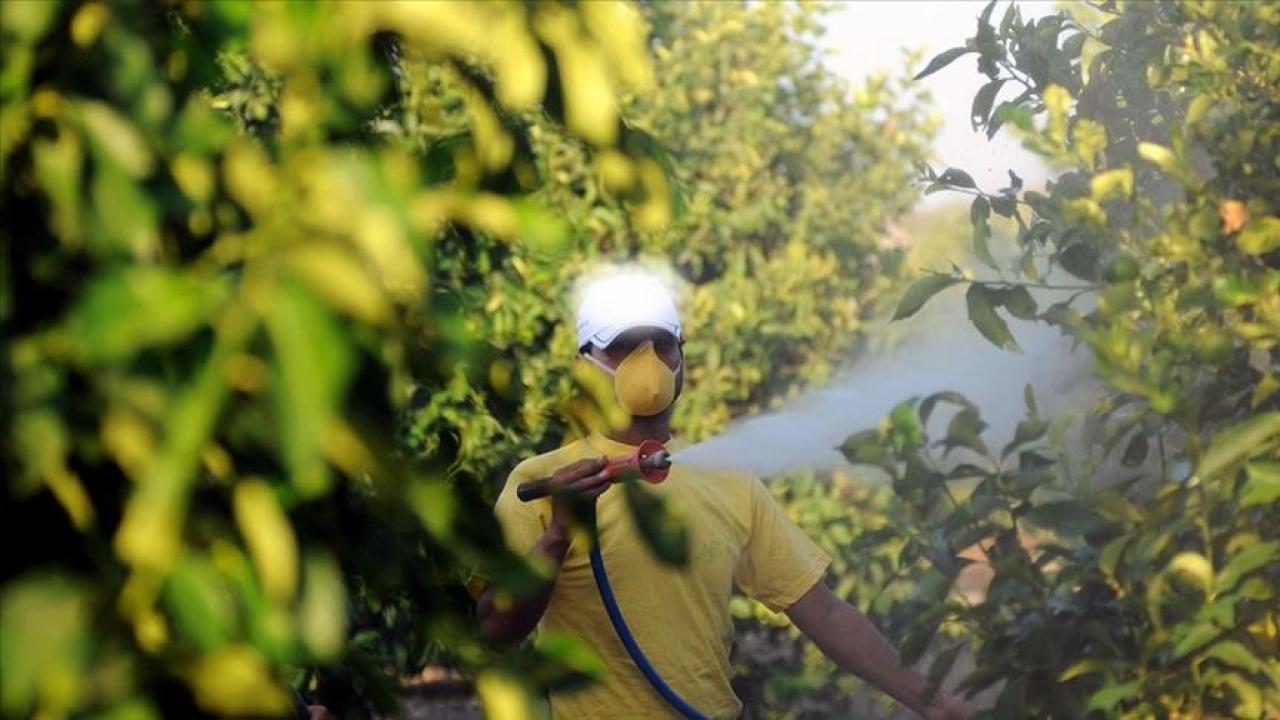 1 Temmuz'da başlıyor