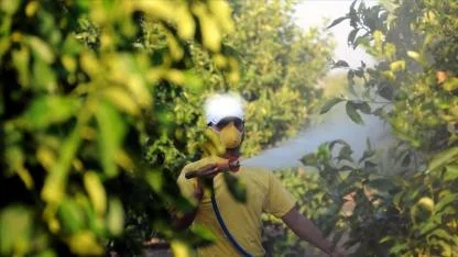 1 Temmuz'da başlıyor