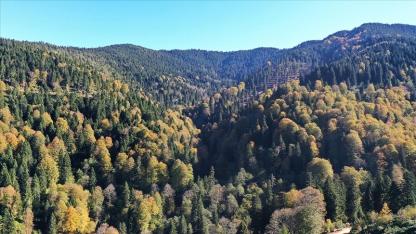 2,3 milyar lira harcandı