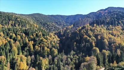 2,3 milyar lira harcandı