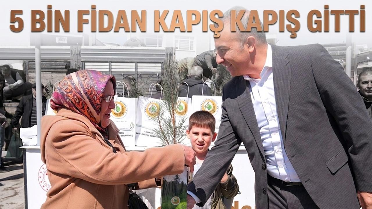 5 bin fidan kapış kapış gitti