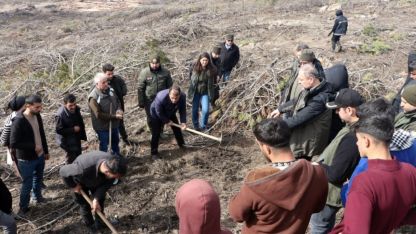 Seyitgazi'de yanan 700 hektarlık alanda ağaçlandırma çalışmaları başladı