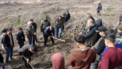 Seyitgazi'de yanan 700 hektarlık alanda ağaçlandırma çalışmaları başladı