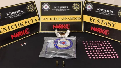 Kırşehir'de uyuşturucu operasyonunda yakalanan zanlı tutuklandı