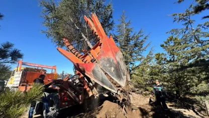 Kayseri'de "Kartal Kavşağı ve Bağlantı Yolları Projesi" öncesi ağaçlar taşınıyor