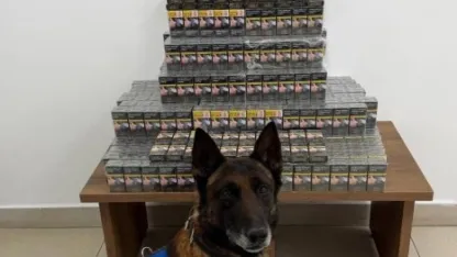 Niğde'de kaçakçılık operasyonunda 1 zanlı yakalandı