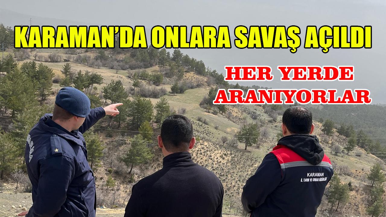 Her yerde aranıyorlar