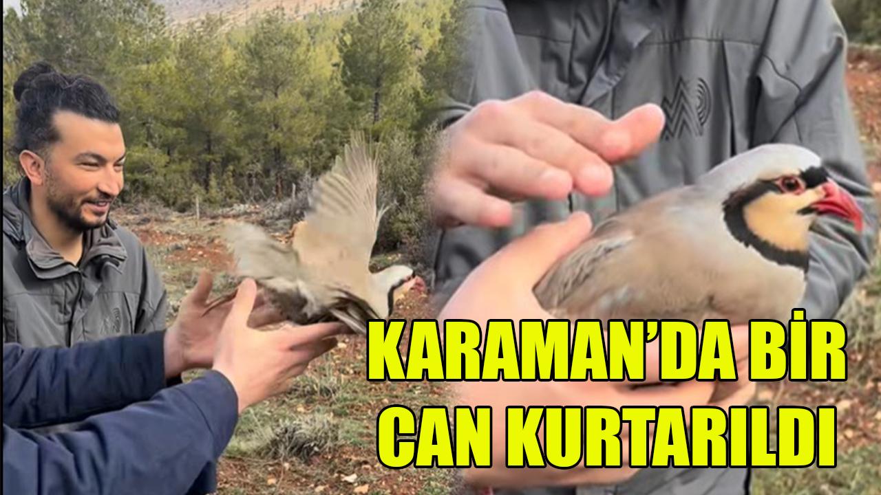 Karaman’da bir can kurtarıldı