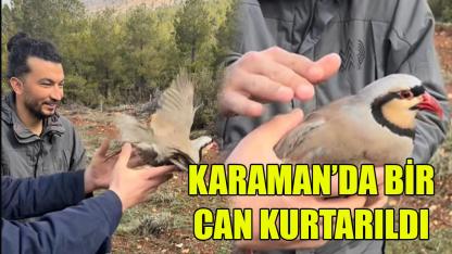 Karaman’da bir can kurtarıldı