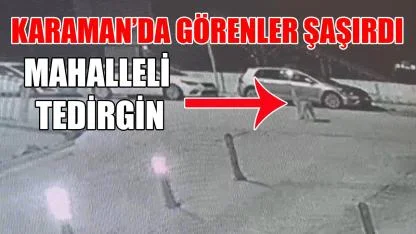 Karaman’da görenler şaşırdı-Mahalleli tedirgin