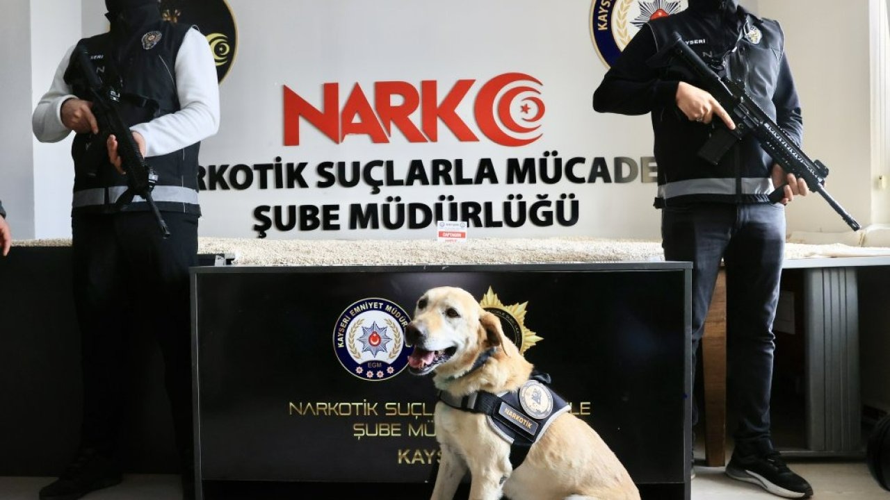 Kayseri'de çekici kasasında 1 milyon 260 bin uyuşturucu hap ele geçirildi